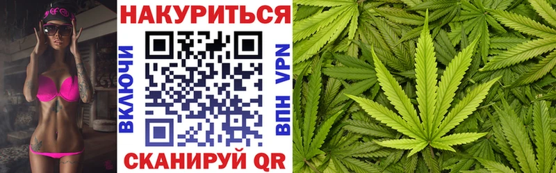 Купить закладки Старица Каннабис гибрид